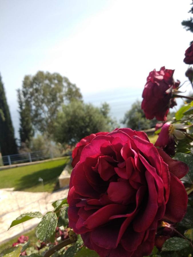 Paralia Sergoulas Hotel Theasis מראה חיצוני תמונה