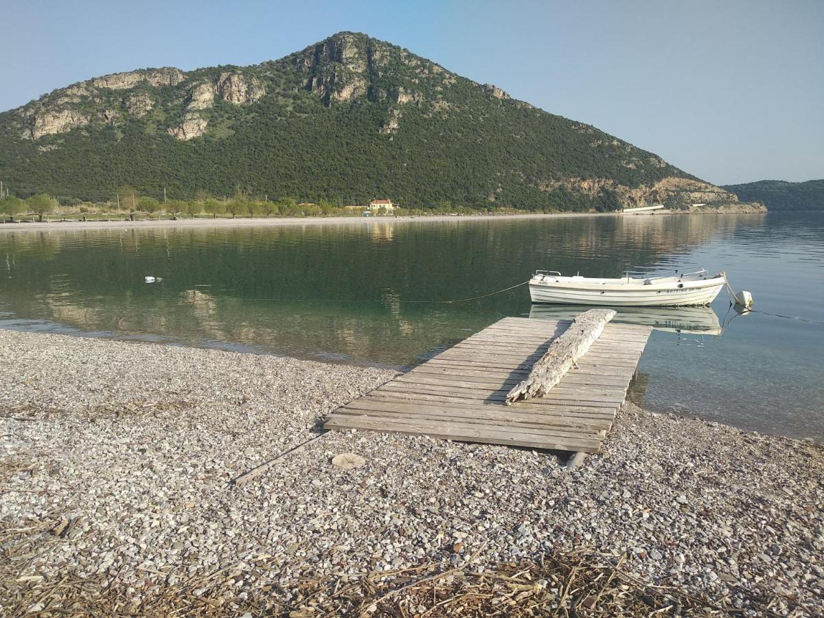 Paralia Sergoulas Hotel Theasis מראה חיצוני תמונה